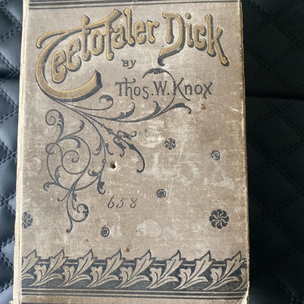 Vintage Teetotaler Dick: His Adventures, Temptations And Triumphs: A Temperance